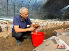 （乡村行·看振兴）浙江临海：